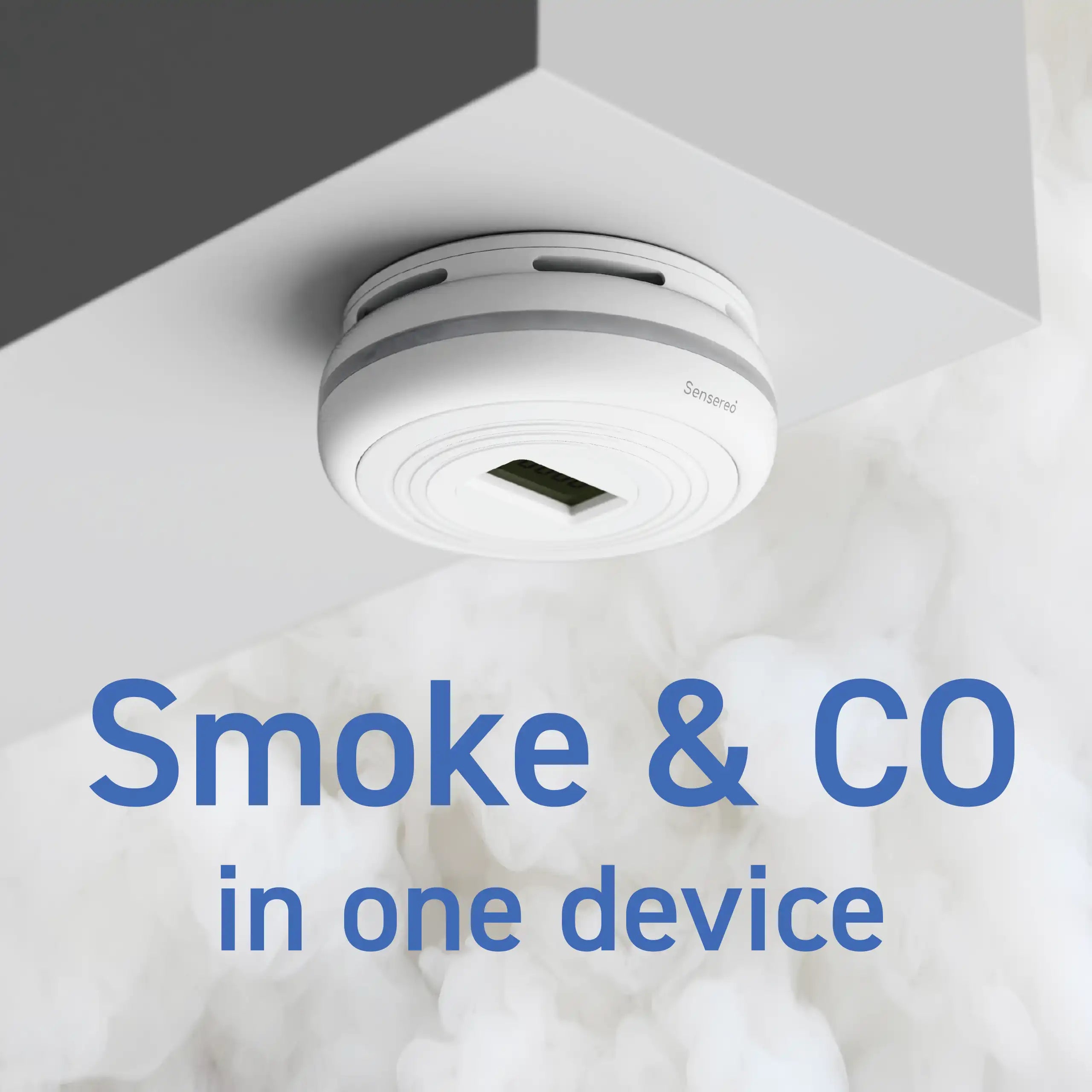 Smoke plus CO in one device